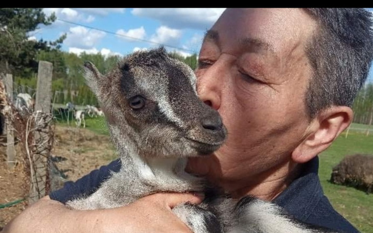 Zbiórka Pomoc na 4 kopytka - zdjęcie główne