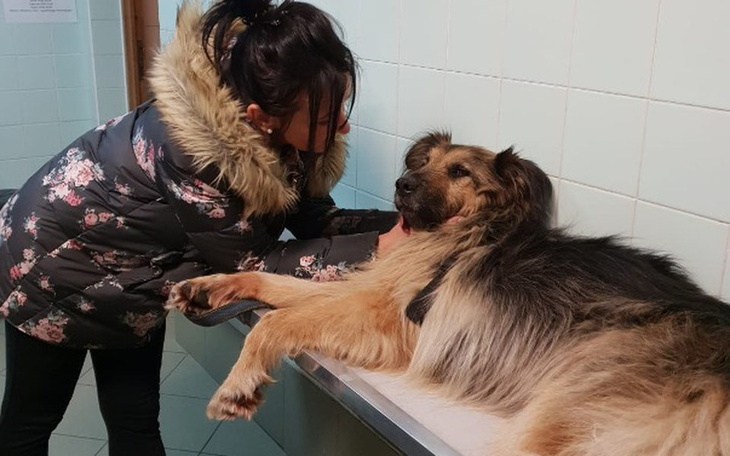 Zbiórka Leczymy PRIMULKĘ - zdjęcie główne