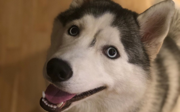 Zbiórka Sunshine Potrzebuje PilnejPomocy - zdjęcie główne