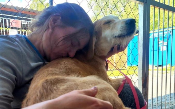 Zbiórka By serce Pereza biło dalej - zdjęcie główne