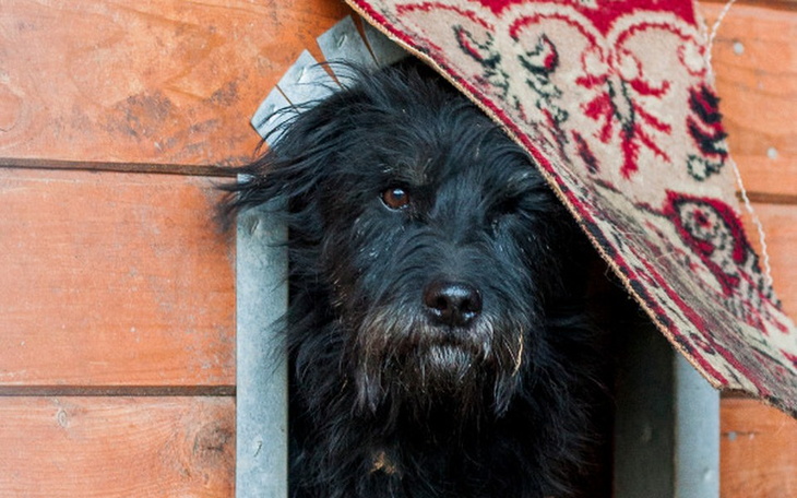 Zbiórka PSOM na BUDĘ! - zdjęcie główne