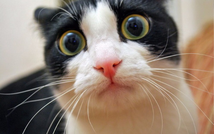 Zbiórka Zbiorka dla Krzysiunia - zdjęcie główne