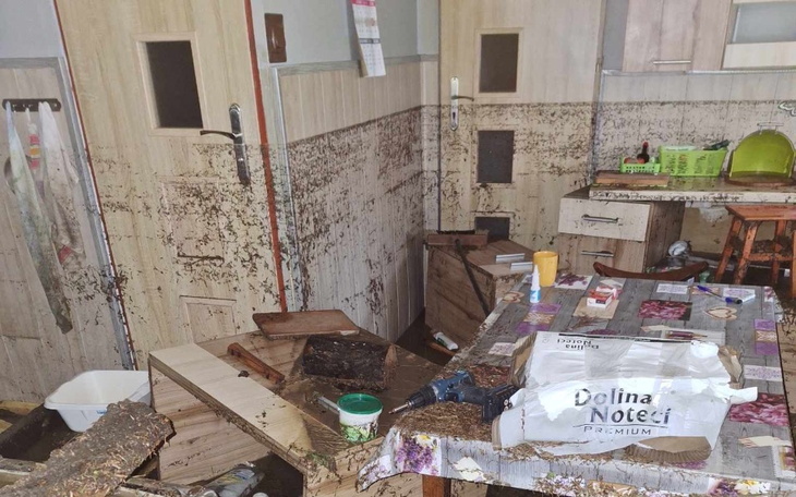 Zbiórka Remont domu Stara Morawa 10 - zdjęcie główne