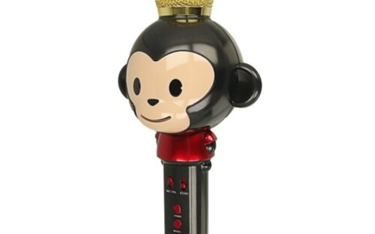 Zbiórka na mikrofon ikruwa - zdjęcie główne