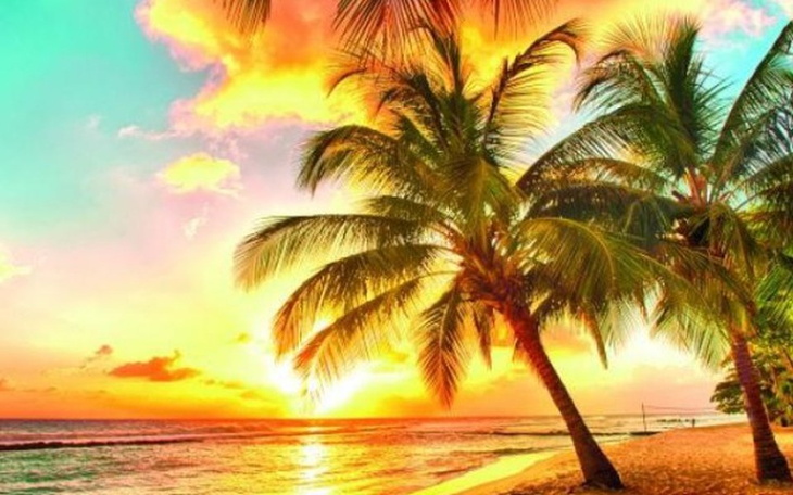 Zbiórka Na wymarzone wakacje życia - zdjęcie główne