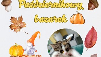 Zbiórka Październikowy Bazarek 25 - miniaturka zdjęcia