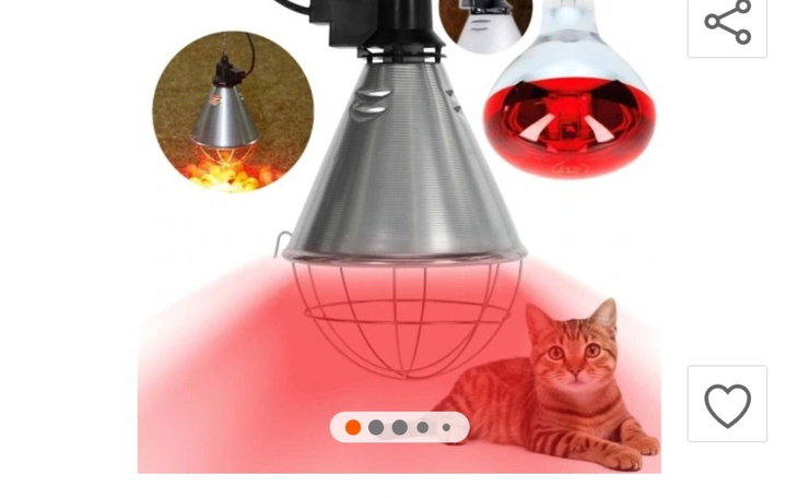 Lampa grzewcza dla kotów, z kotem w tle.