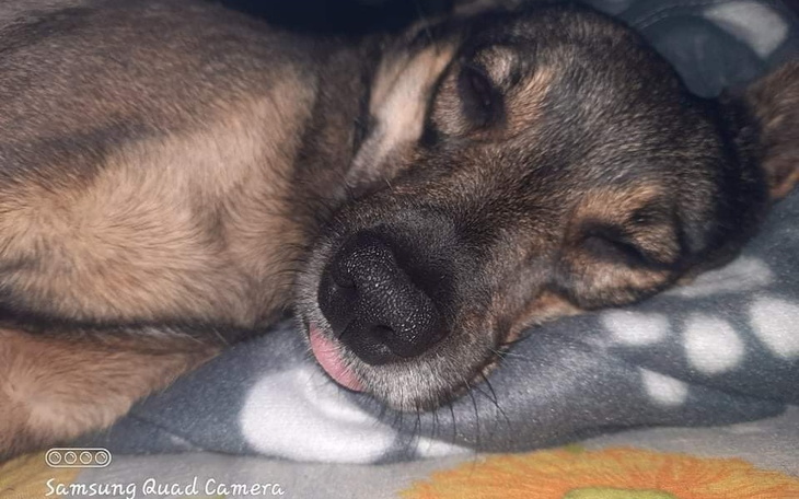 Zbiórka Pomoc w ciężkiej sytuacji.. - zdjęcie główne