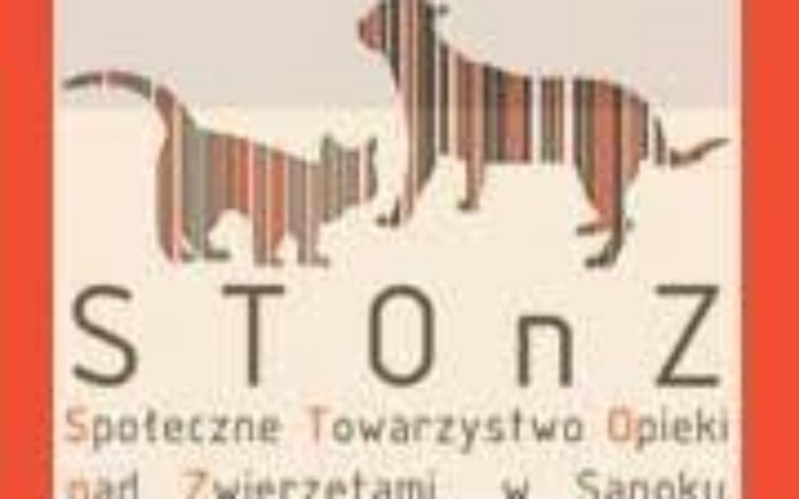 Zbiórka Stonz - zdjęcie główne