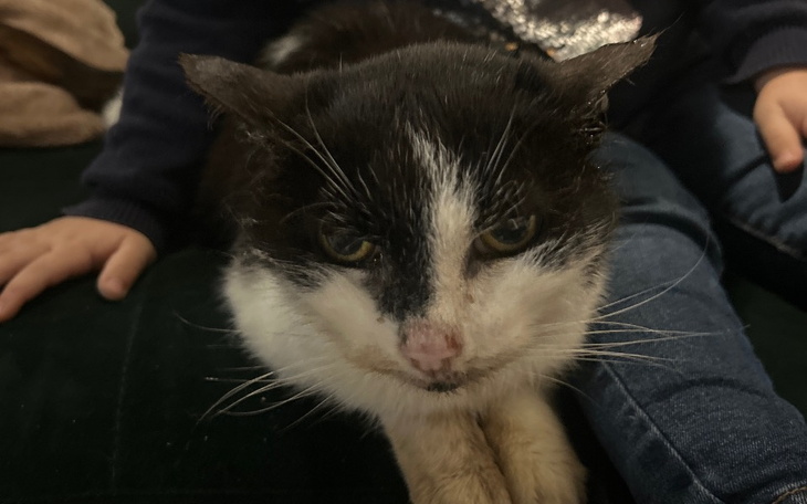 Zbiórka Zbiórka dla Znajdy - zdjęcie główne