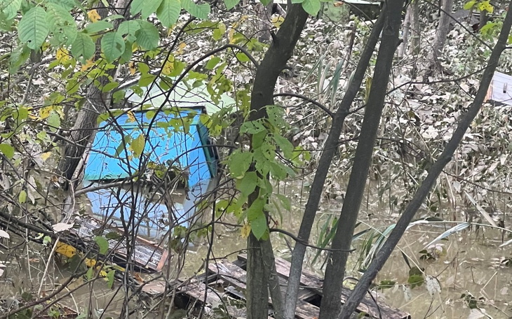 Zbiórka Odbudowa Pasieki pszczelej - zdjęcie główne