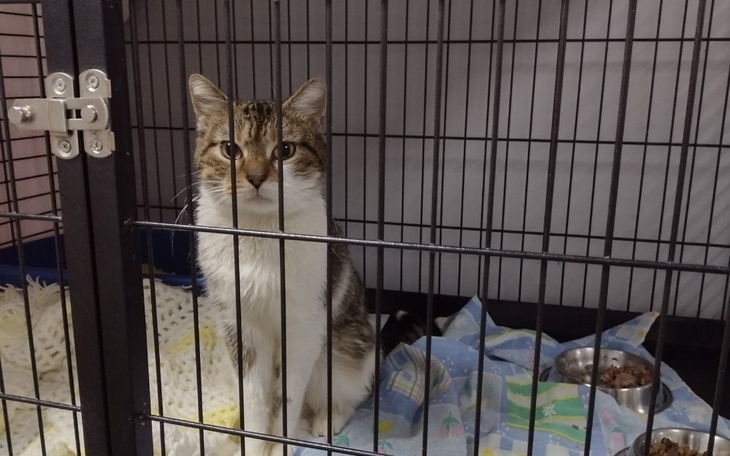 Zbiórka Nowotwór złośliwy w uchu - zdjęcie główne