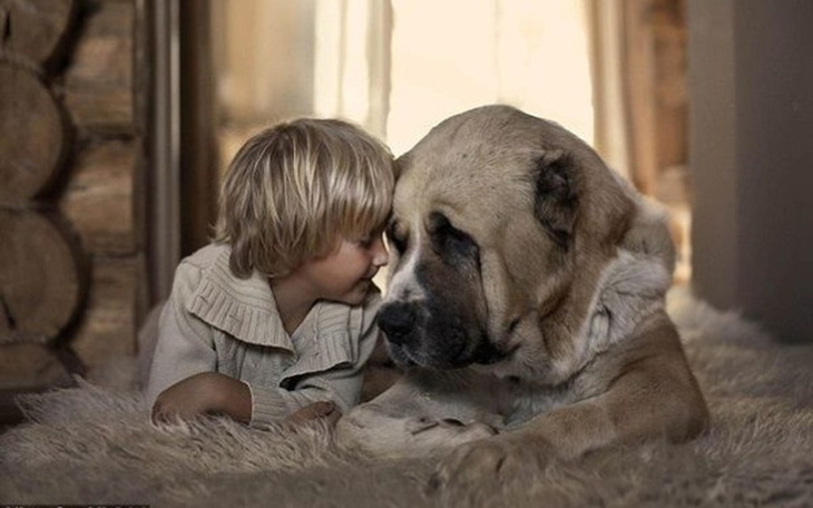 Dziecko i pies blisko siebie, dzielące chwilę.