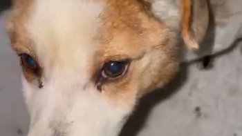 Zbiórka Przymarzał żywcem - miniaturka zdjęcia