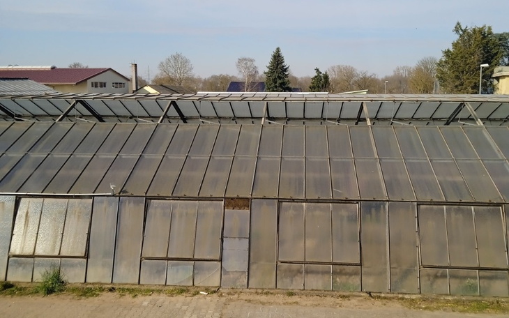 Zbiórka Polak za granicą - zdjęcie główne