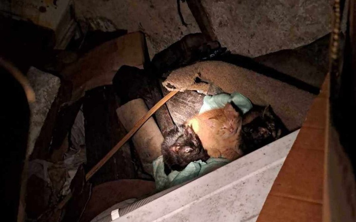 Zbiórka Zima w mokrej piwnicy. - zdjęcie główne