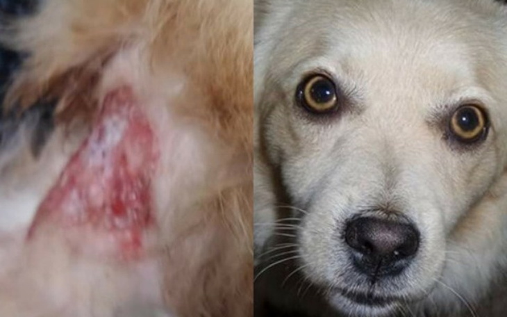 Zbiórka on był zabijany - zdjęcie główne