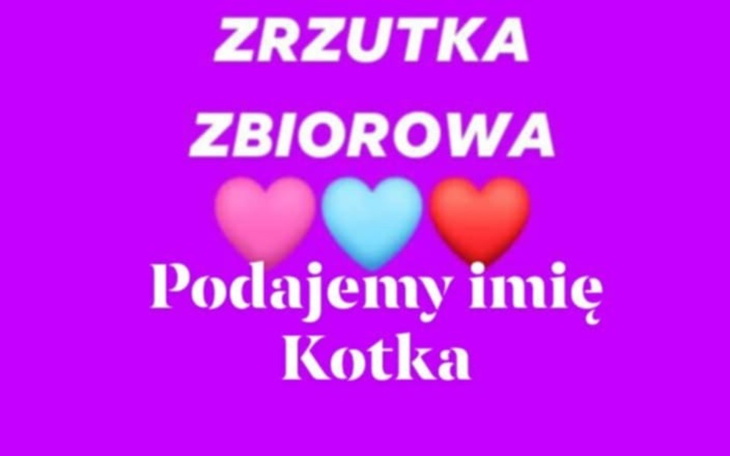 Kolorowy plakat z informacj膮 o zbi贸rce funduszy dla kotka.