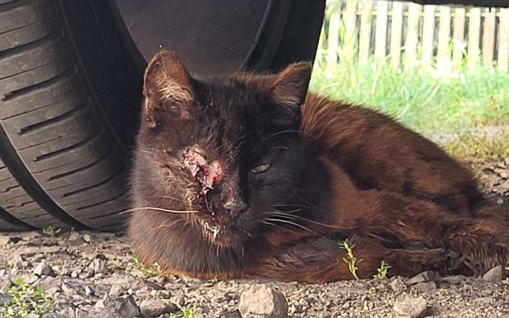 Zbiórka Uratujmy razem jej oczko - zdjęcie główne