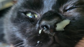 Zbiórka Dramatów Lusi ciąg dalszy - miniaturka zdjęcia