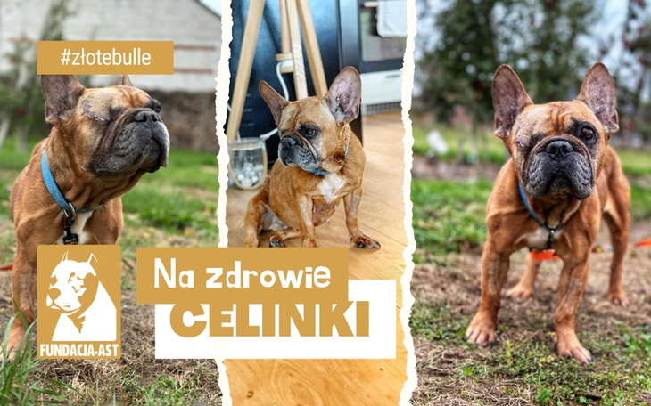 Zbiórka Na zdrowie Celinki - zdjęcie główne