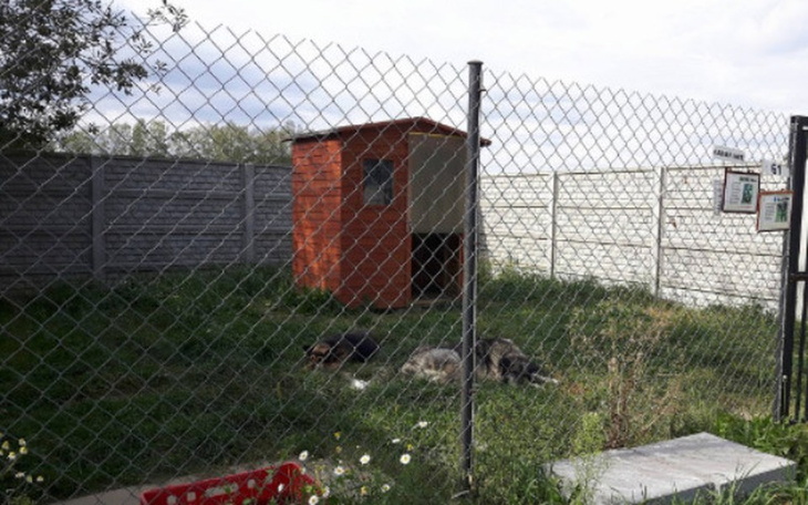 Zbiórka Domek od Przyjaciół Gangu Amara - zdjęcie główne