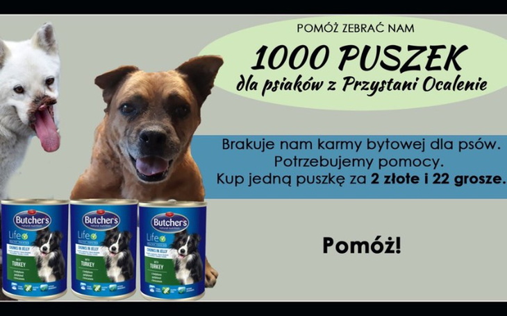 Zbiórka Wpłać dwójeczkę na puszeczkę - zdjęcie główne