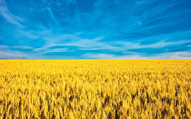 Zbiórka Na Adobe dla graficzki z Ukrainy - zdjęcie główne