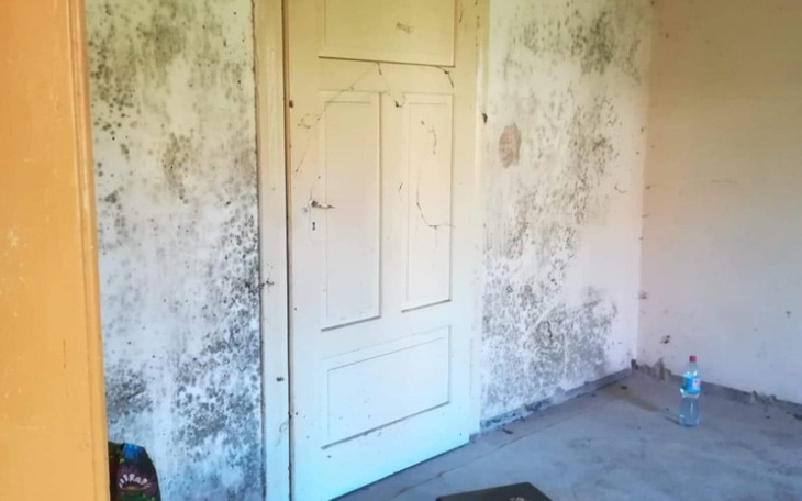 Zbiórka Na lepsze jutro bezpieczny kąt - zdjęcie główne