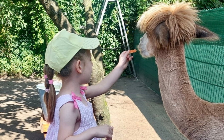 Zbiórka Serce dla Rocha - zdjęcie główne