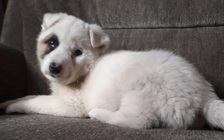 Zbiórka Pomoc wyrzuconemu maleństwu - zdjęcie główne