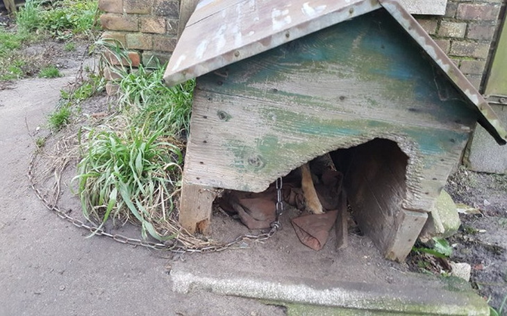 Zbiórka A mieli mnie uratować... - zdjęcie główne