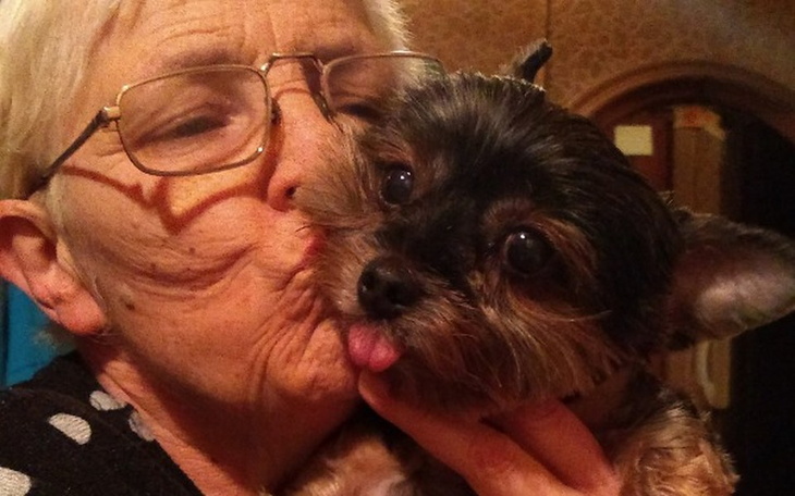 Zbiórka Kala błaga o pomoc - zdjęcie główne