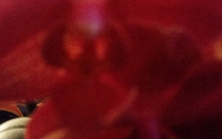 Zbiórka Zbiórka dom - zdjęcie główne