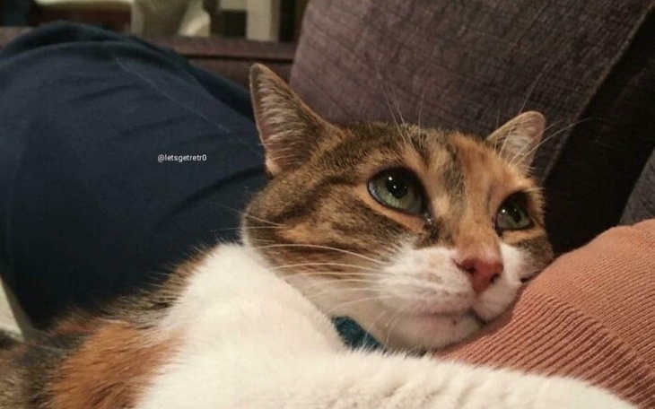 Zbiórka Na hormony i wizytę u seksuologa - zdjęcie główne