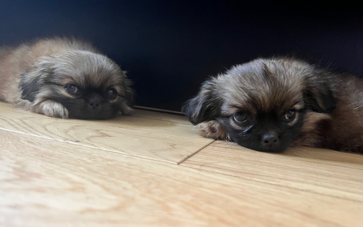 Zbiórka Wyrzucone pod sklepem.. - zdjęcie główne