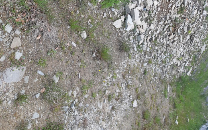 Zbiórka Szczepionka odczulajacą na rozto - zdjęcie główne