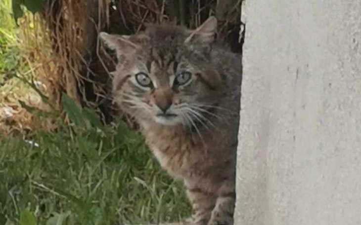 Zbiórka Na szpital dla Maćka - zdjęcie główne