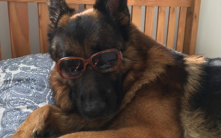 Zbiórka Spłata kredytu odnawialnego - zdjęcie główne