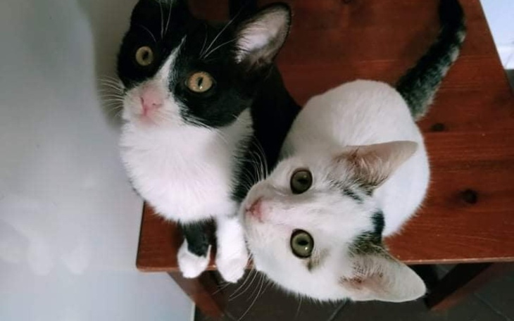 Zbiórka Wrzesień w Malinowym Zdroju - zdjęcie główne