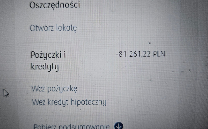 Zrzut ekranu z informacjami o pożyczkach i kredytach.