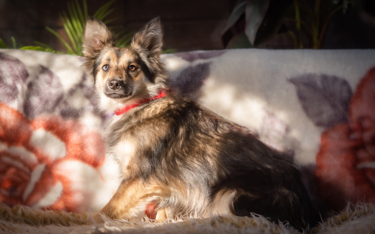 Zbiórka Pomagamy bidom z Serocka - zdjęcie główne