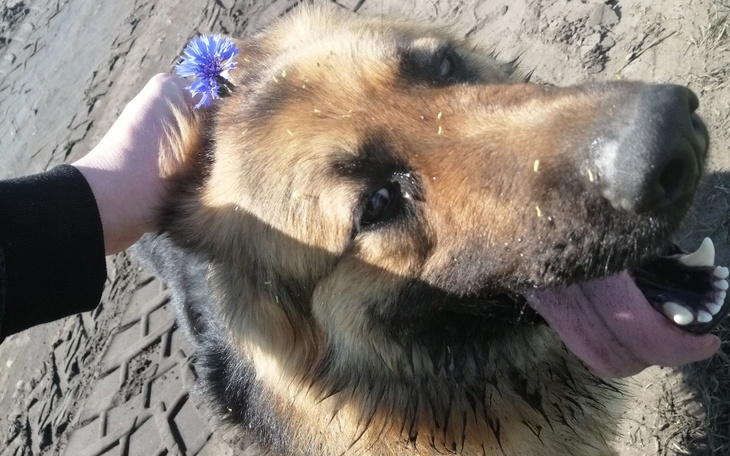 Zbiórka Na otwarcie firmy transportowej - zdjęcie główne