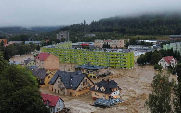 Zbiórka Nowe życie Rodziny Adamczewskich - zdjęcie główne