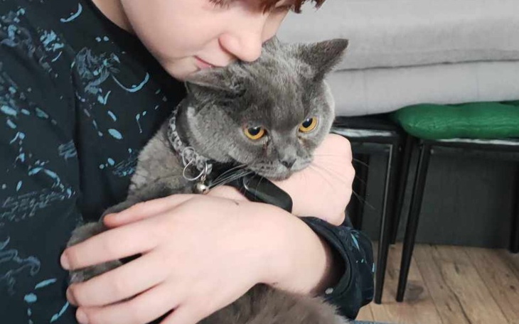 Zbiórka Uratuj mojego kotka Cypryska - zdjęcie główne