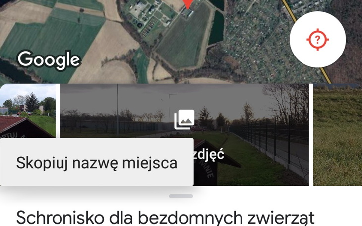 Zbiórka Schronisko kedzierzyn kozle - zdjęcie główne