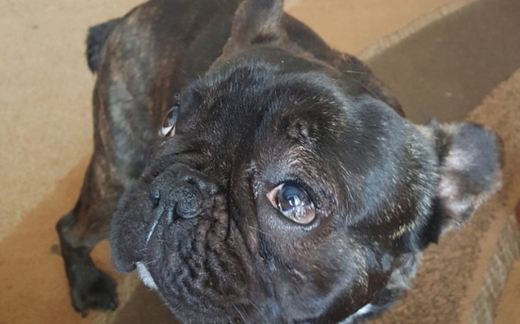 Zbiórka Zbieramy na leczenie dla Mike - zdjęcie główne