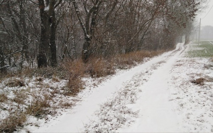 Zbiórka Droga do domu - zdjęcie główne