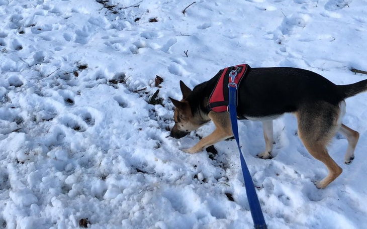 Zbiórka Na mieszkanie potrzebuje - zdjęcie główne
