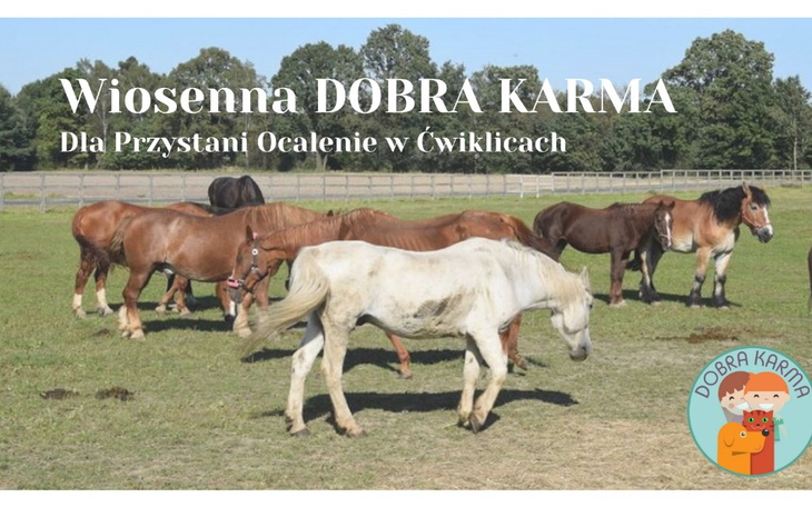 Zbiórka Wiosenna Dobra Karma 2021 - zdjęcie główne